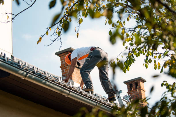 Gutter Installation and Roofing in Dublin, GA